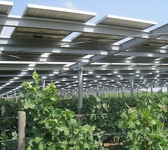 agrifotovoltaico